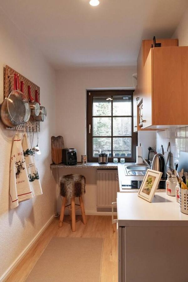 Das Waldseechalet Maerchenhafter Waldseeblick - Moderne Wohnung Mit Infrarotsauna Hasselfelde Exterior foto
